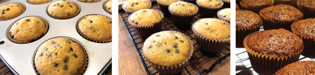 Pumpkin Chocolate Muffin