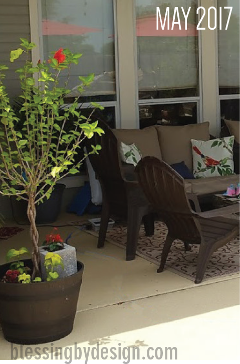 Lessons from My Garden - Bear Good Fruit