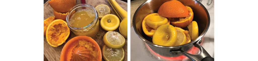 Fruit Cinnamon Tea
