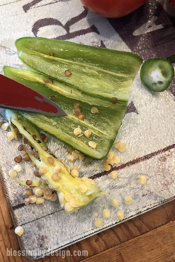 Easy Fresh Salsa Recipe