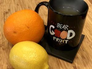 Fruity Cinnamon Hot Tea